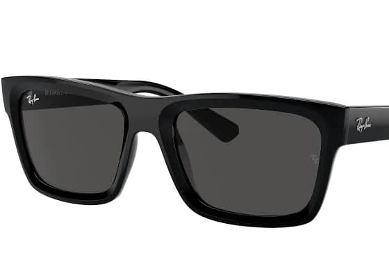 Ray-Ban Warren Sunglasses