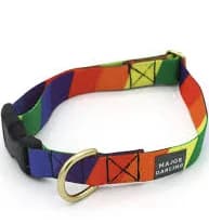 Rainbow Snap Dog Collar - Medium