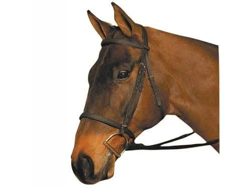 Wintec Bridle