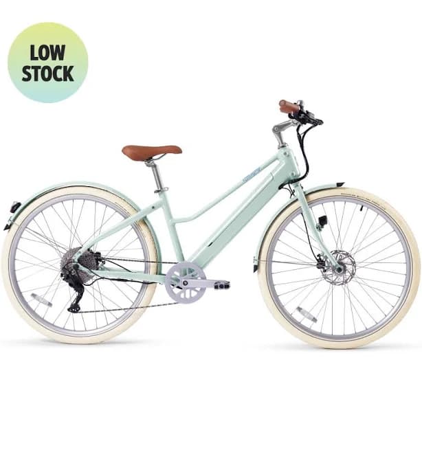 Bluejay Premiere Lite Electric Bike