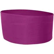 Badger Wide Headband 0301