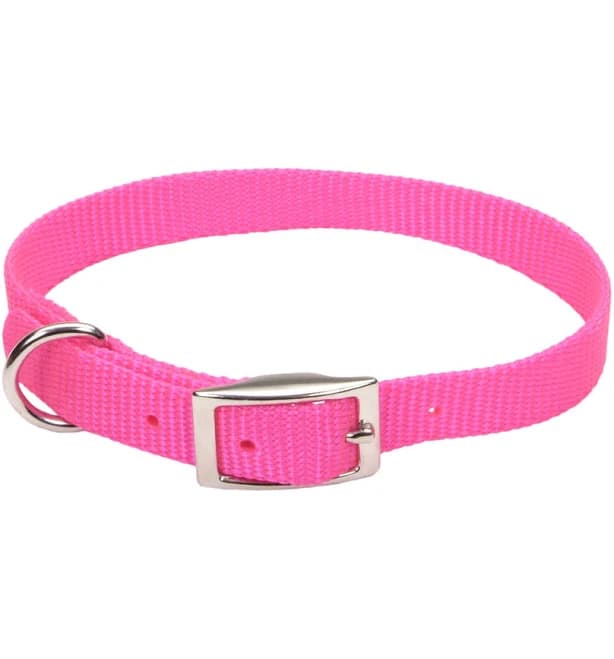 Coastal Pet Nylon Single-Ply Dog Collar