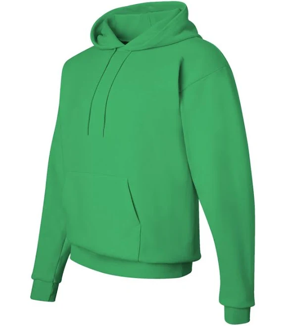 Hanes Men's EcoSmart Hooded Sweatshirt