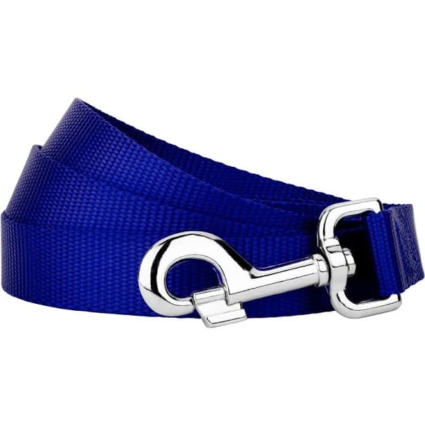 Country Brook Design Country Brook Petz Nylon Dog Leash