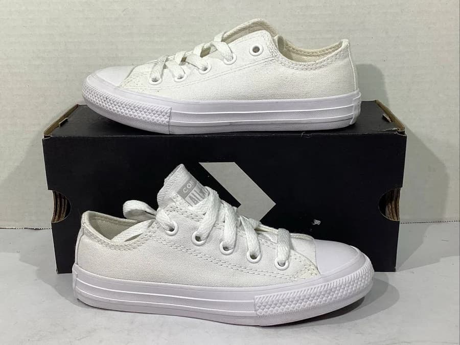 Converse Chuck Taylor All Star Low-Top Monochrome Sneakers