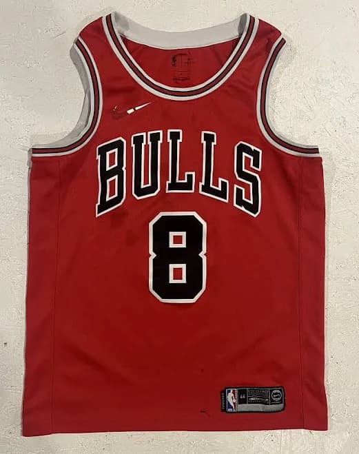 Nike Kids' Chicago Bulls Zach Lavine Swingman Jersey