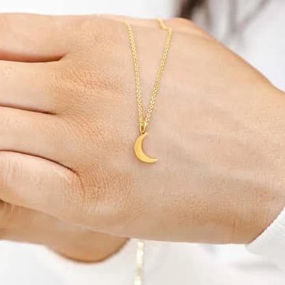 Dainty Moon Crescent Moon Necklace