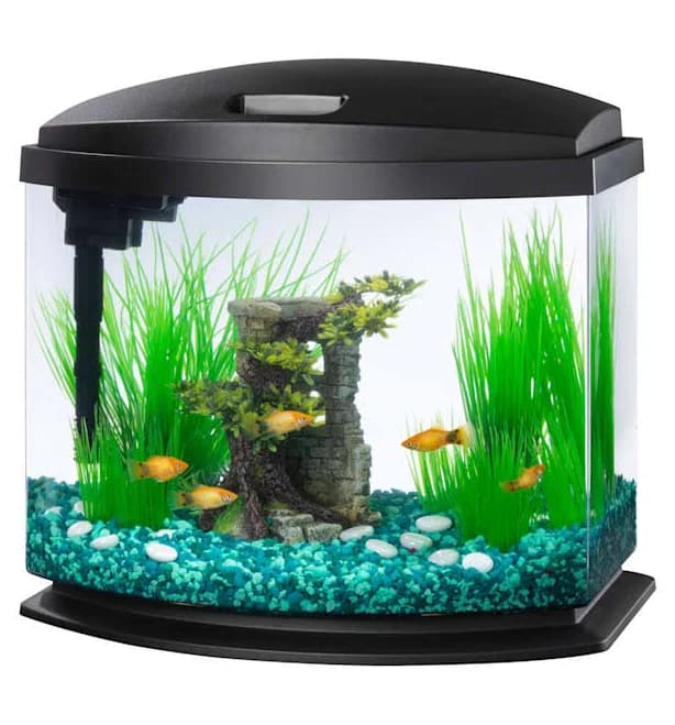 Aqueon Black 5 Gallon LED MiniBow SmartClean Kit