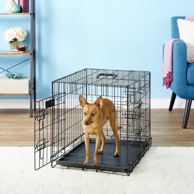 EliteField 3 Door Folding Pet Crate