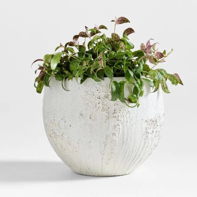 Crate & Barrel Messina Textured Indoor/Outdoor Planter