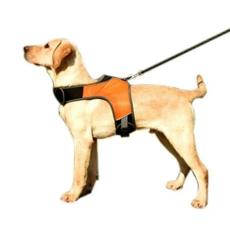 Pet Harness for Medium Large Dog