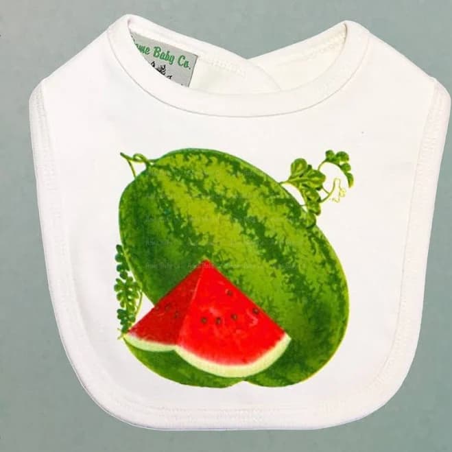 Watermelon Organic Baby Bib organic natural