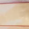 Video frame trigger