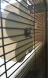 Video frame trigger