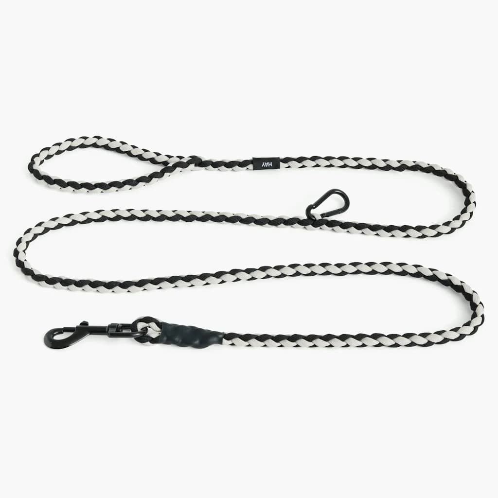 Design Within Reach Braided Dog Leash