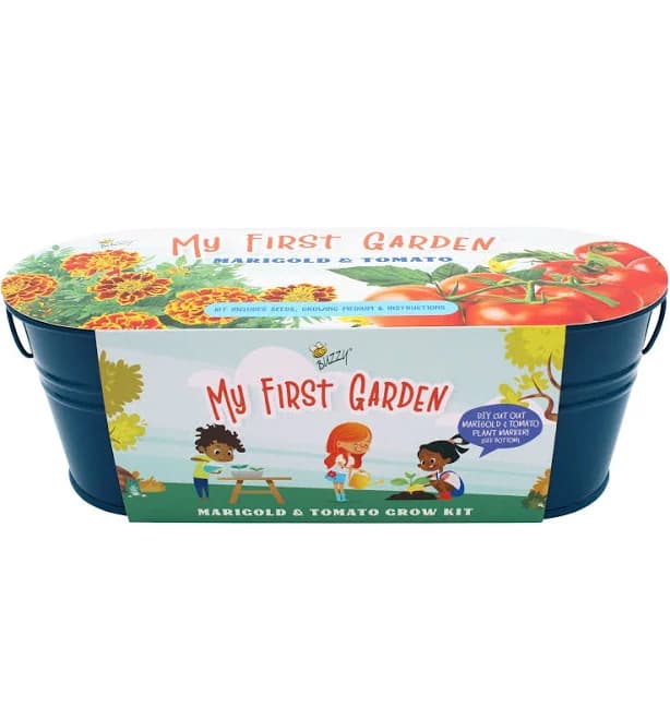 Buzzy My First Garden Painted Windowsill Marigold and Tomato Grow Kit