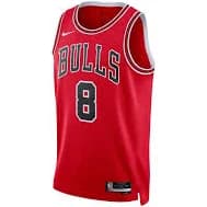 Chicago Bulls Swingman Icon Jersey "LaVine"