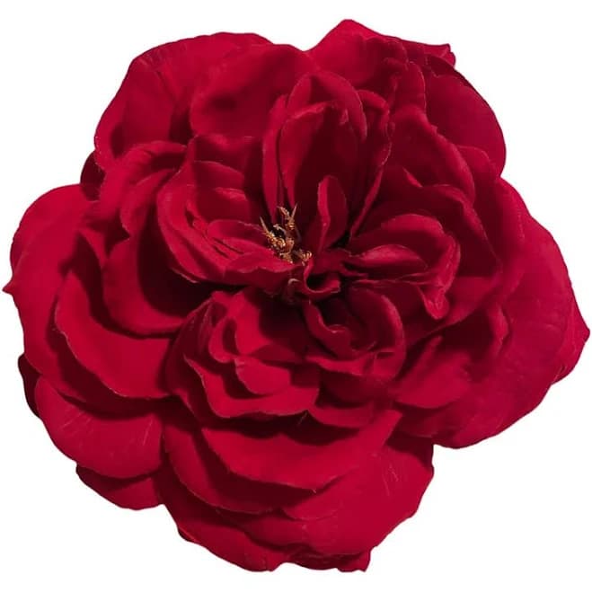 Open Rose Hair Flower Clip