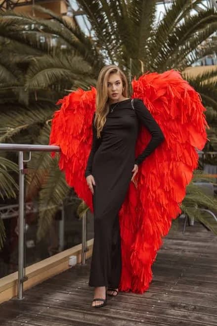 Victoria Secret Angel Wings Costume
