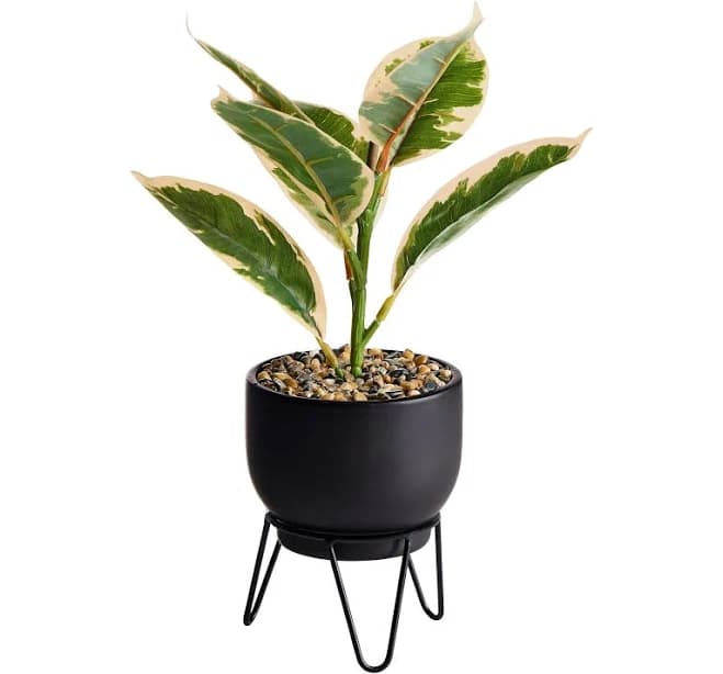 Better Homes & Gardens Artificial Ficus Plant
