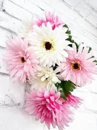 Gerbera Daisy Bush