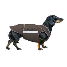 Ready-made Dachshund Extra Warm Winter Jacket – Waterproof, Insulated, Fleece Lined - Etsy Canada