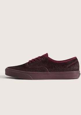 Vans Authentic Shoes