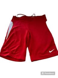 Nike Dri Fit shorts elastic drawstring waist zippered pocket in back size large | eBay