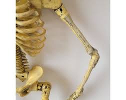 Vintage Paper Magic 1998 AS IS Animated Skeleton Halloween Hanging Prop Decor - Etsy
