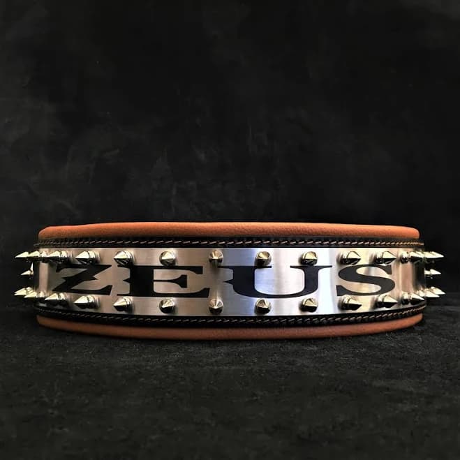 Personalized Metal Dog Collar