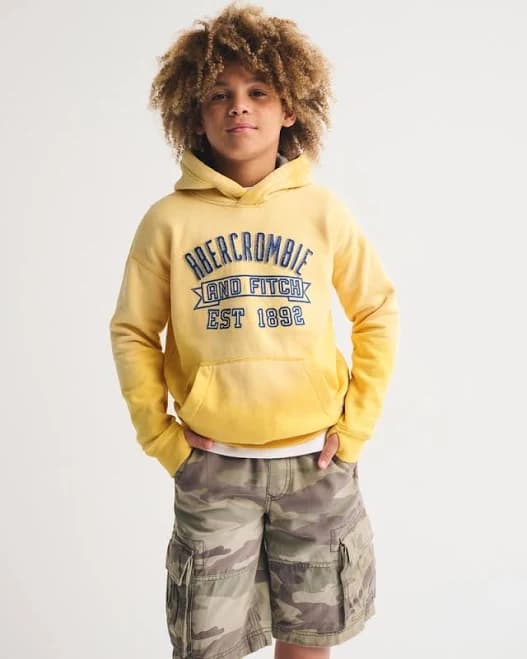 Abercrombie Kids Boys Logo Popover Hoodie