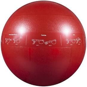 GoFit GF-65PRO Professional Stability Ball