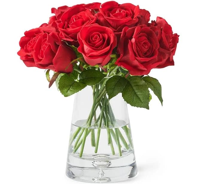 Red Roses in Glass Vase