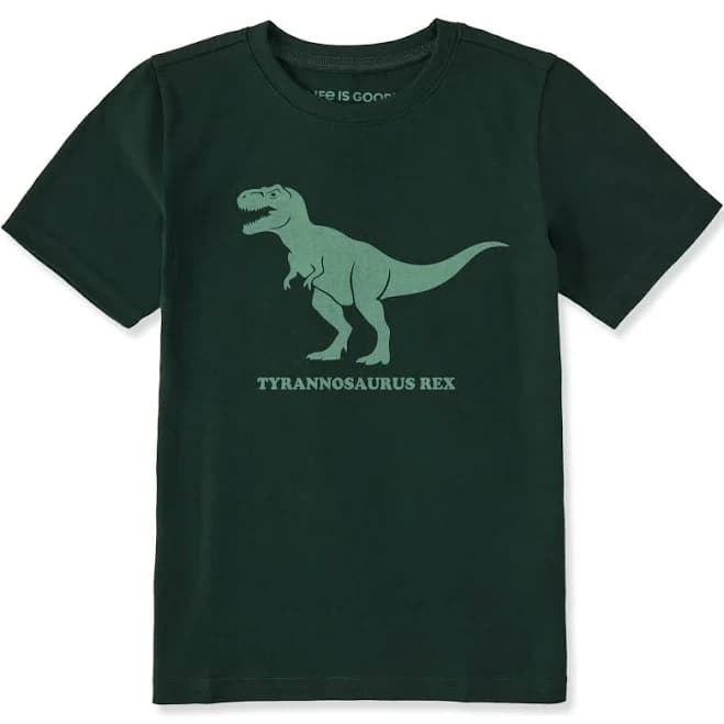 Life Is Good Kids A Tyrannosaurus T-Shirt