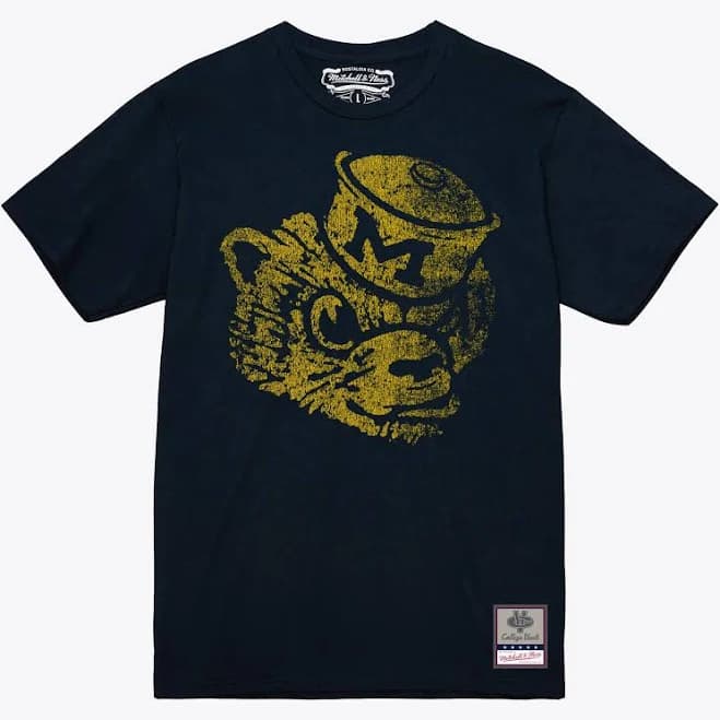 Michigan Wolverines Basic Logo T-Shirt