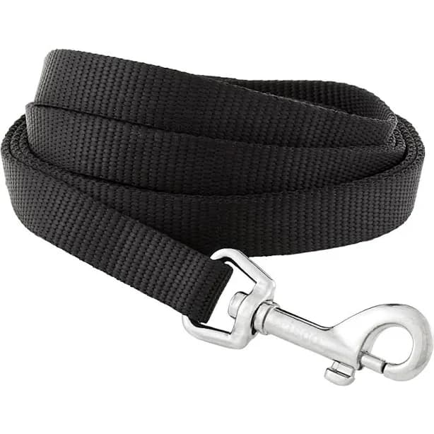 Frisco Solid Nylon Dog Leash