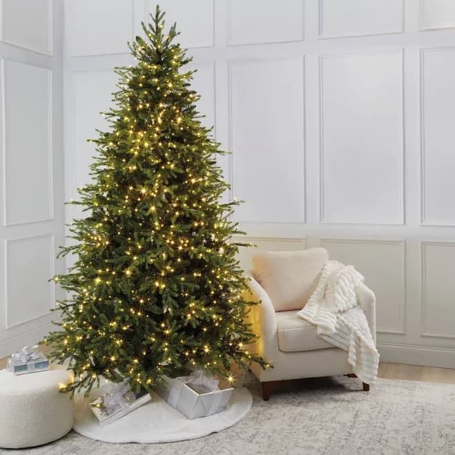 Ashland Charlotte Spruce 7.5ft. Pre-Lit Color Changing Mini LED Lights