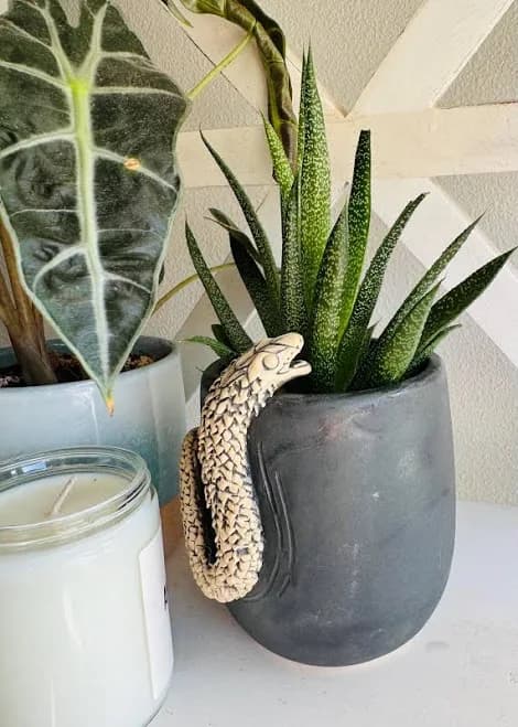 Ceramic Planter - Sculted snake dragon sculpture
