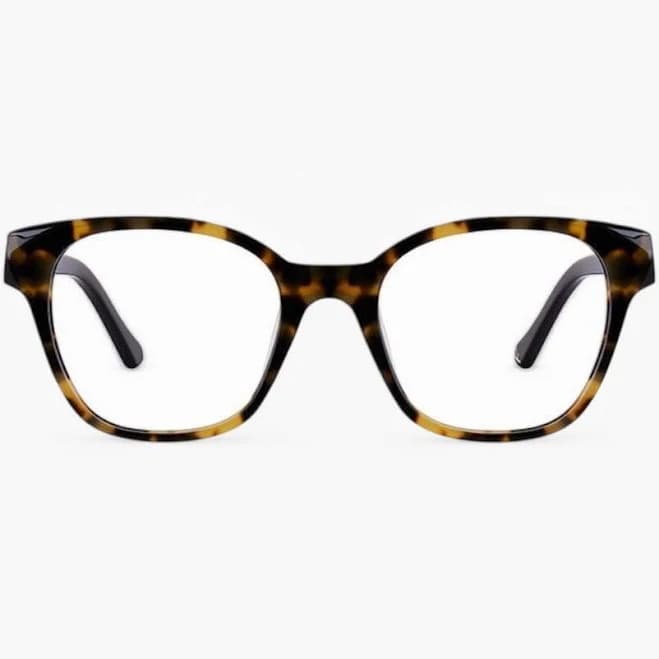 Finlay Vivian Light Tortoise Frame Spectacles