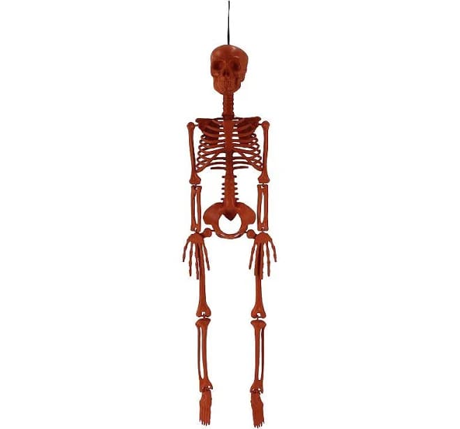 Celebrate Together Halloween 32-inch Skeleton Decor, Orange