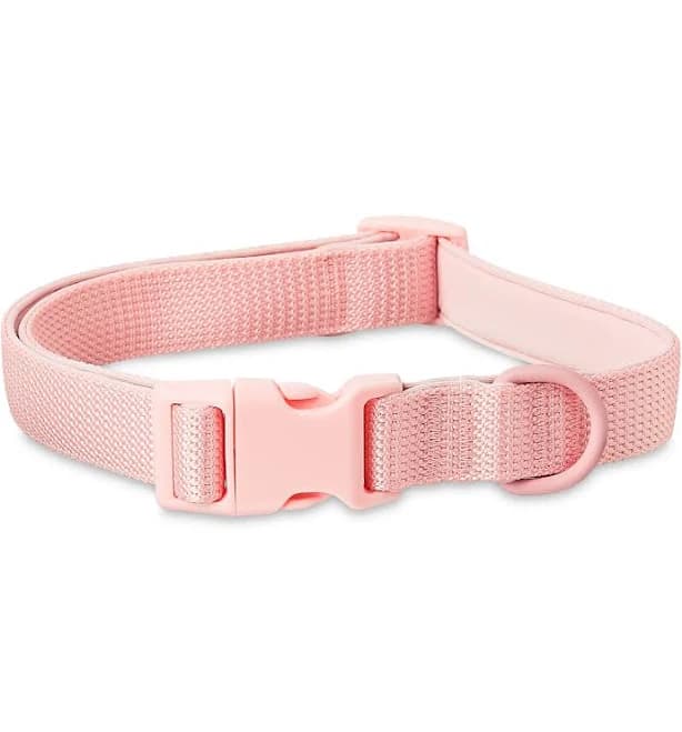 Vibrant Life Neoprene Cushioned Adjustable Dog Collar