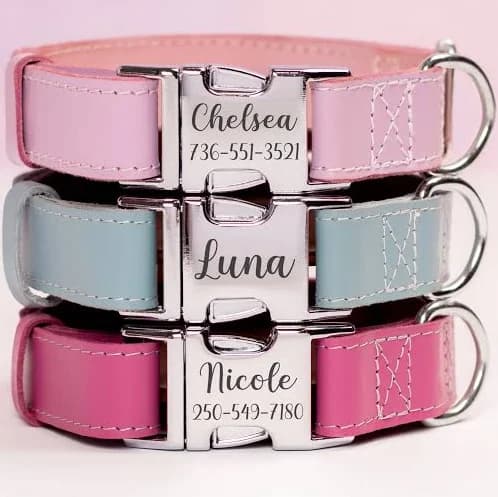 Personalized Dog Collar with Silver Buckle | Capri Leather, Light Pink / S - 10"-14" width 1" / none