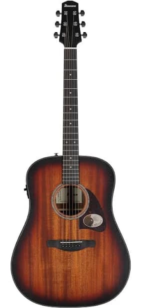 Ibanez AAD54E Acoustic-Electric Guitar