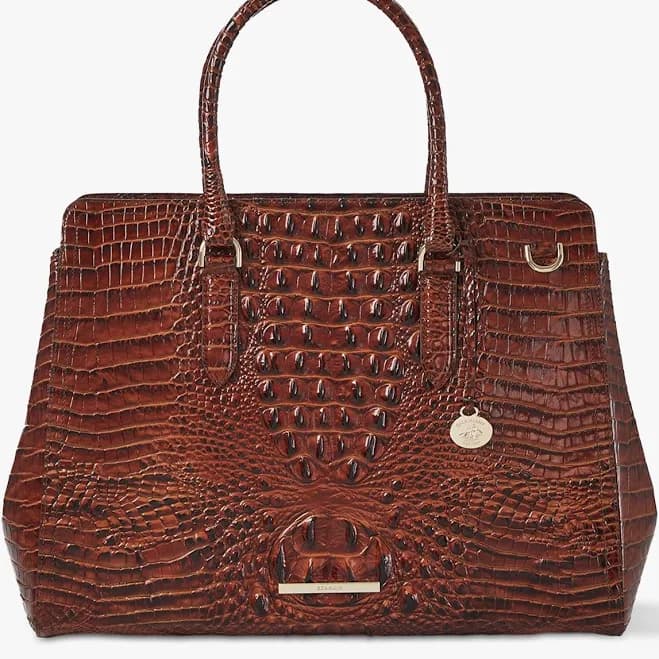 Brahmin Women's Finley Carryall Satchel