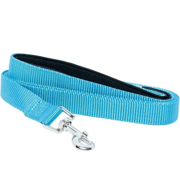 American Pet Supplies Padded Grip Dog Leash