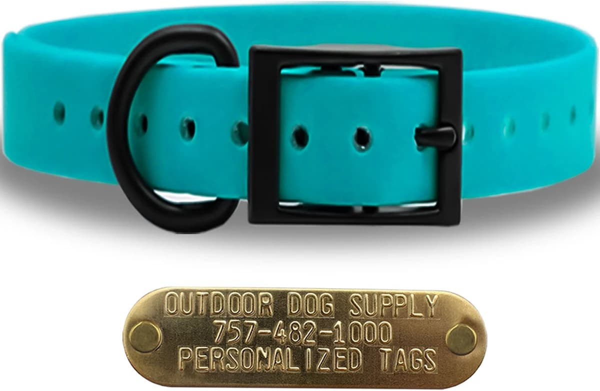Outdoor Dog Supply 1" Solid SoftFlex Beta D Ring Dog Collar