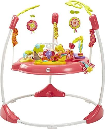 Fisher-Price Pink Petals Jumperoo