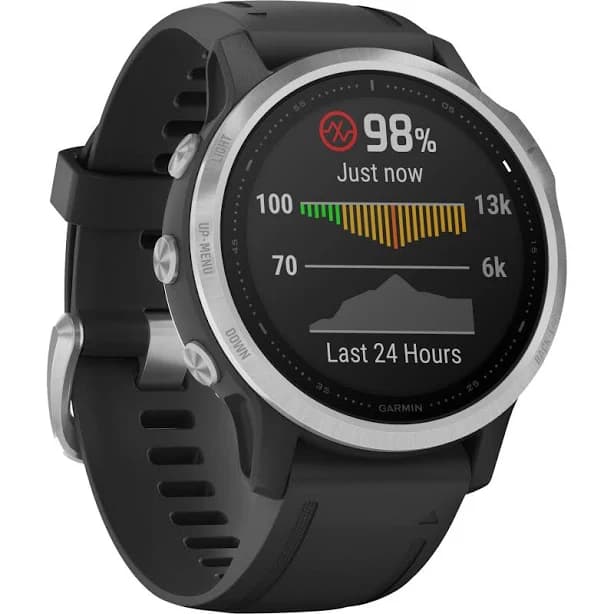 Garmin Fenix 6S