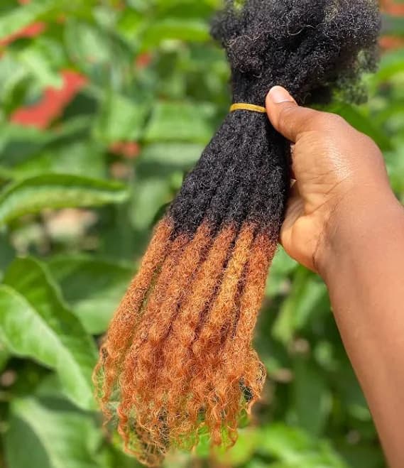 Personalized Human Hair Dreadlocks (10 Locs)