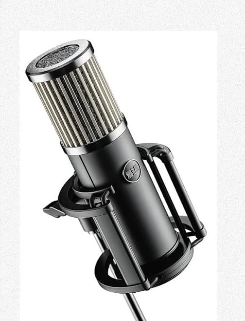 512 Audio Skylight Large-Diaphragm Condenser XLR Microphone